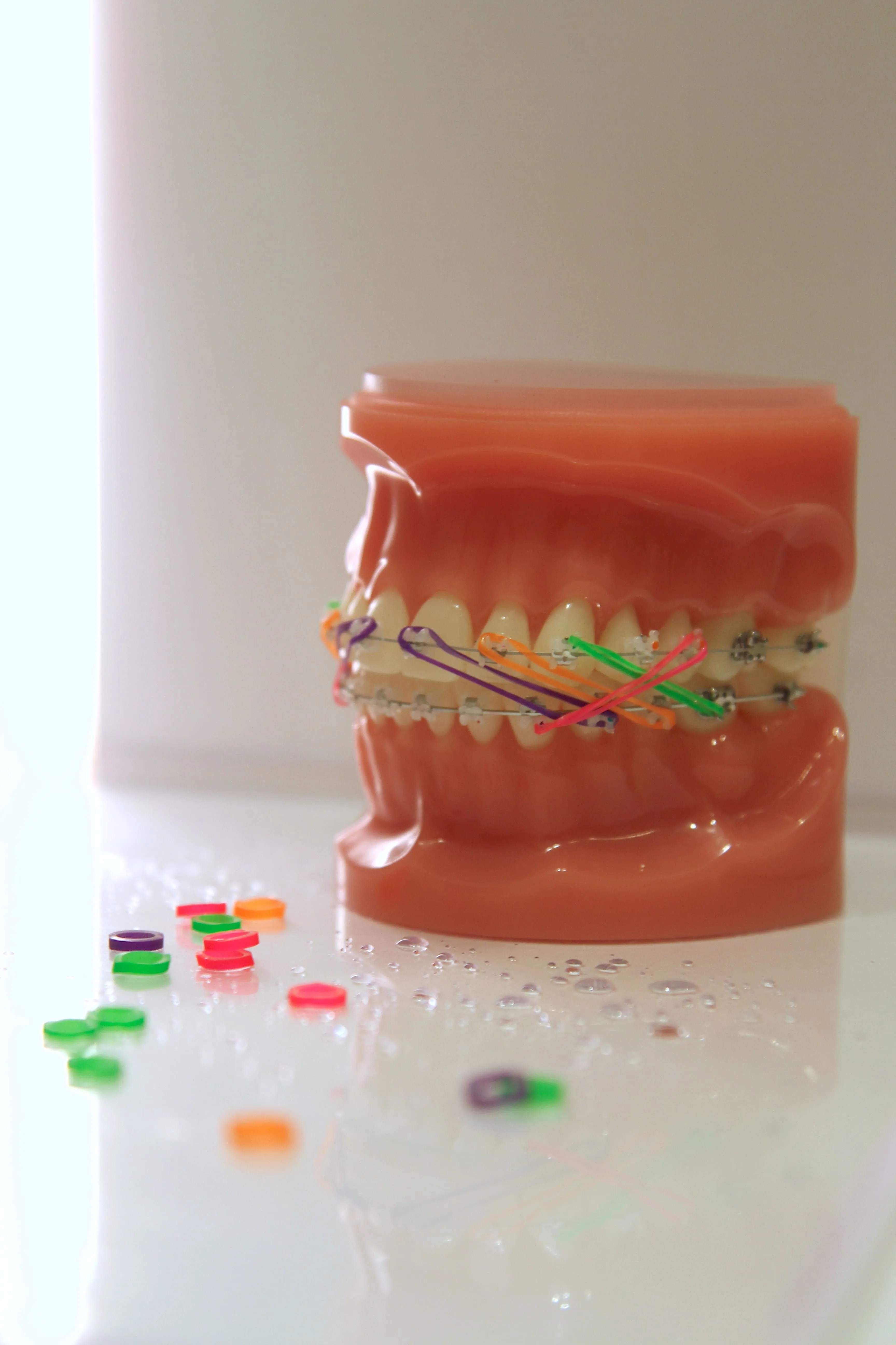 Elastics_wildlife_NEON