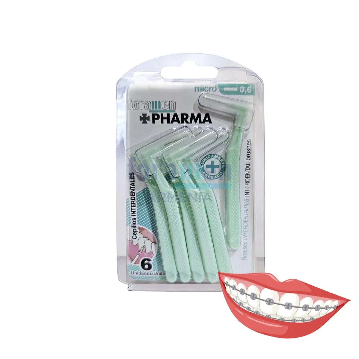 Foramen_Interdental_curve0_6