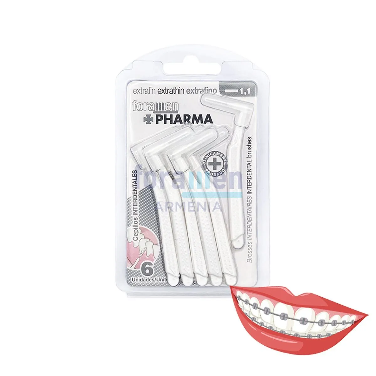 Foramen_Interdental_curve1_1