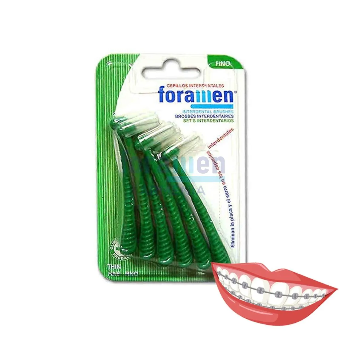 Foramen_Interdental_curve1_3