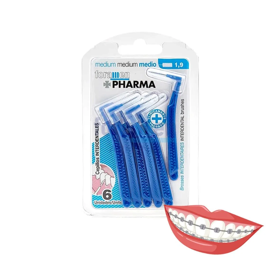 Foramen_Interdental_curve1_9