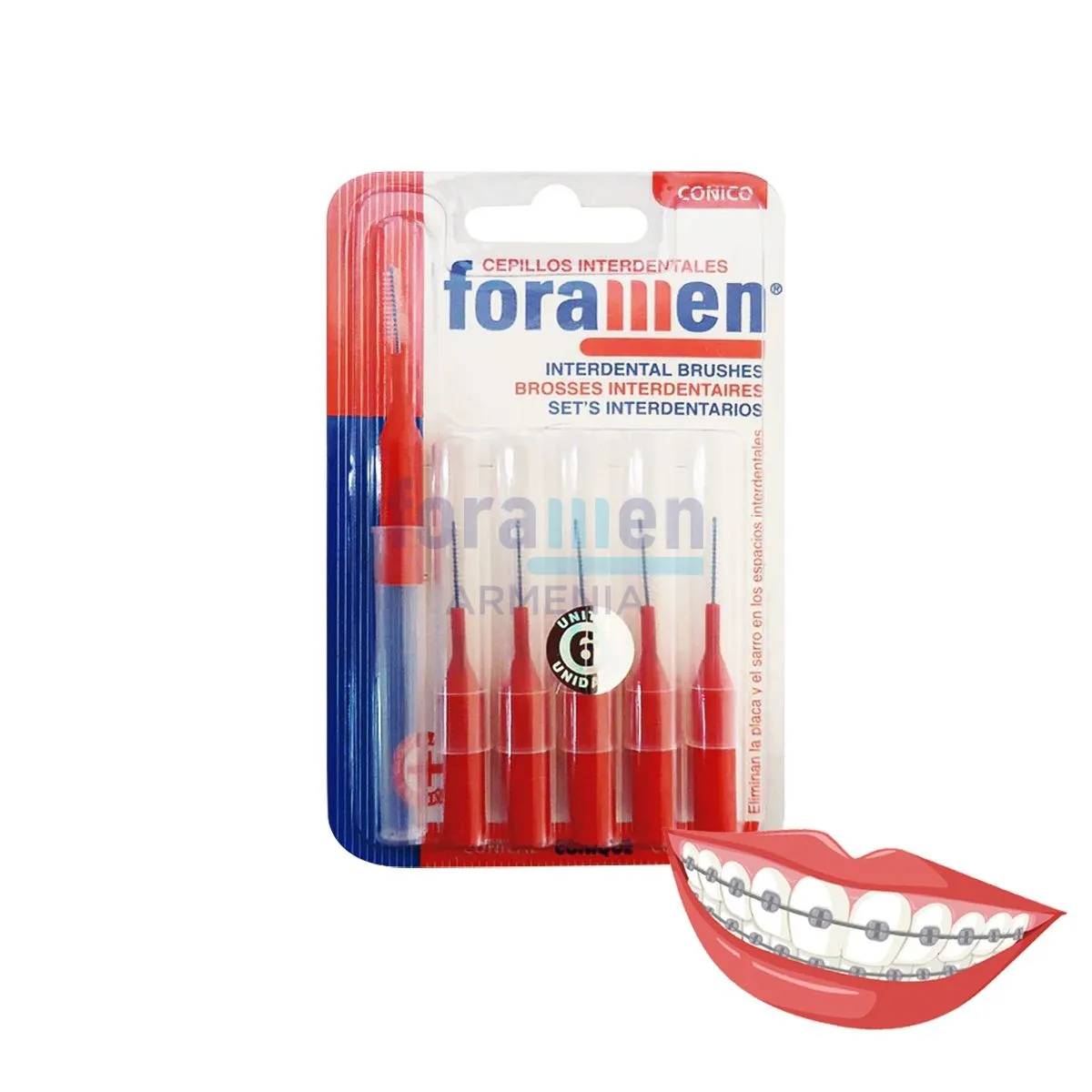 Foramen_interdental_straight1_3_conic