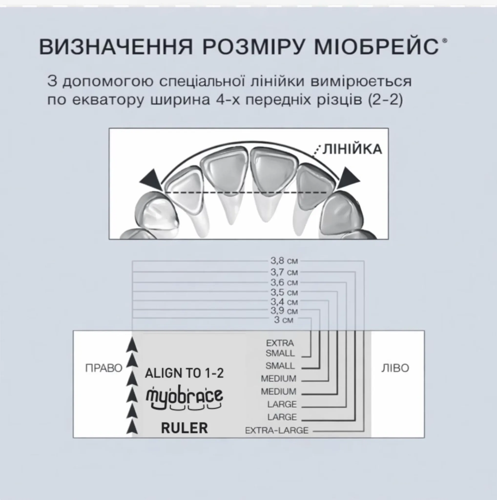 Myobrace_ruler