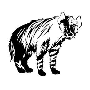 Hyena