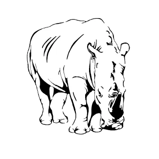 Rhinoceros