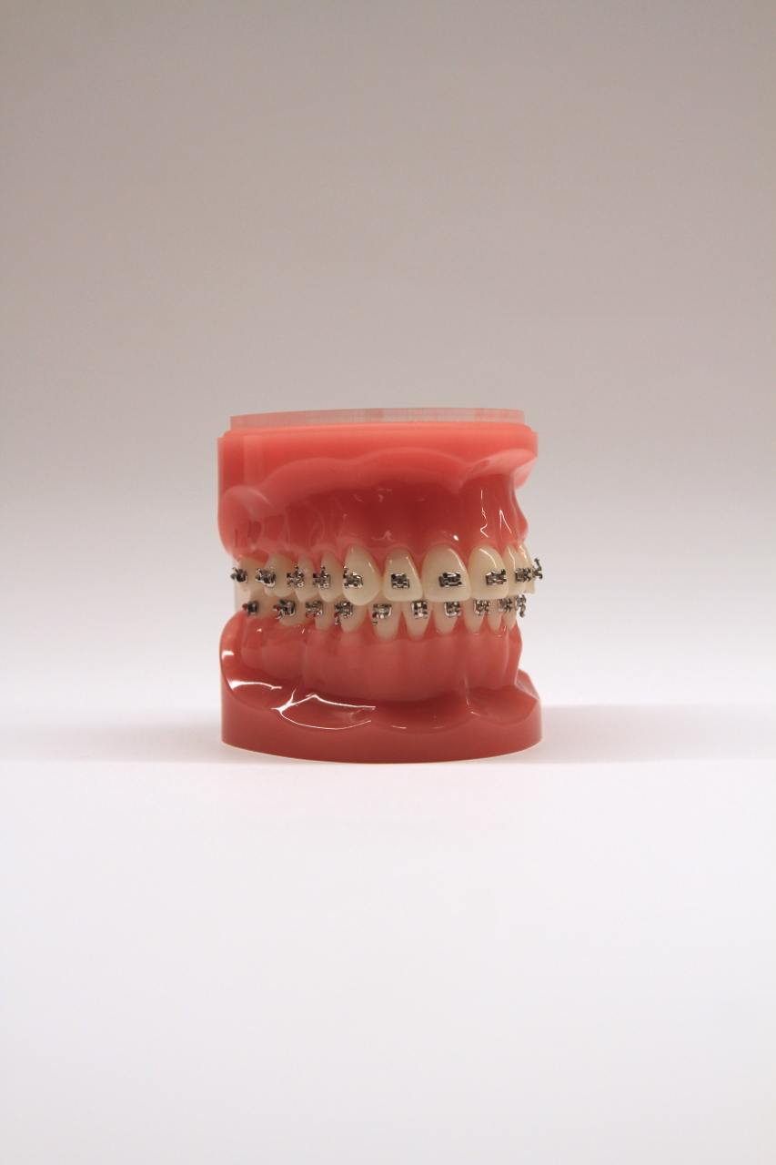 Typodont_MINI_MASTER_2
