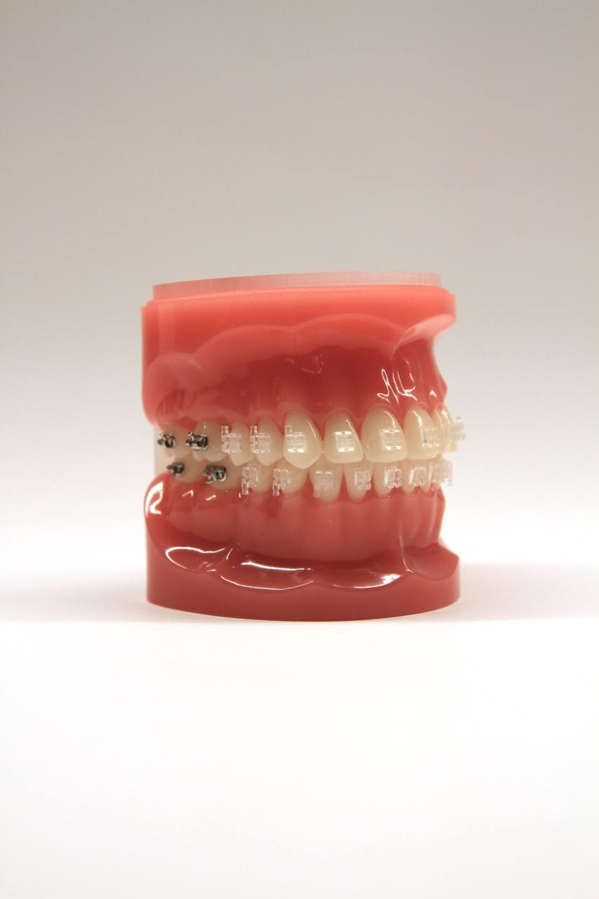 typodont_radianceq_2